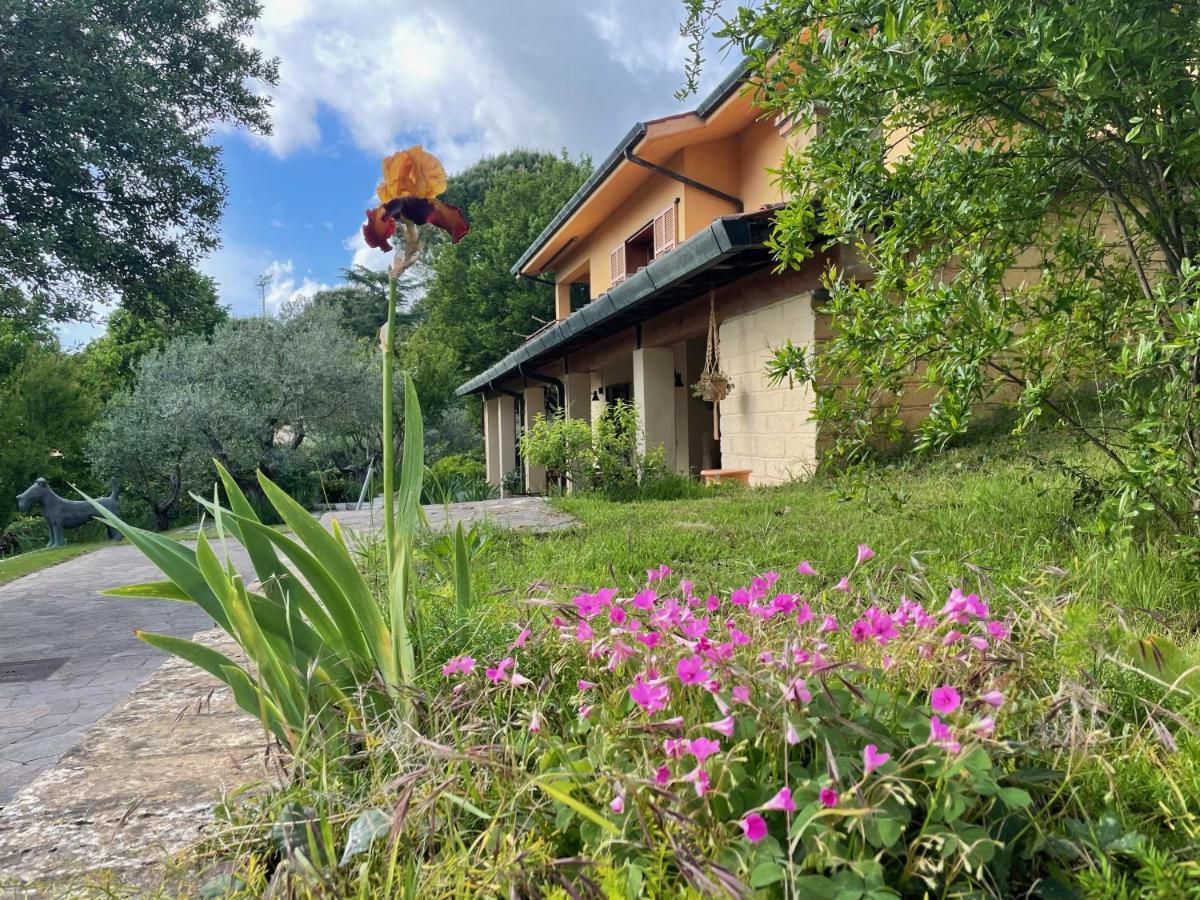 Botanea Guest House 폰테누오바 외부 사진